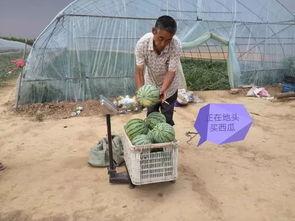 汝南吃瓜视频,揭秘当地特色美食与风土人情 第2张 汝南吃瓜视频,揭秘当地特色美食与风土人情 第2张